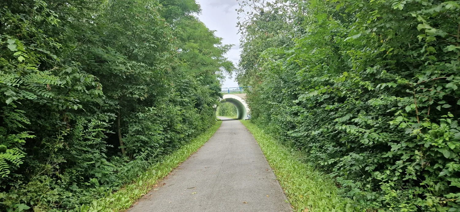 moryn-siekierki-wycieczka-rowerowa