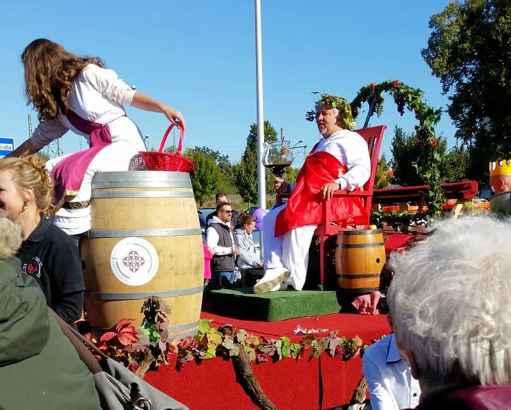 festiwal-wina-misnia