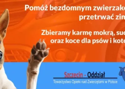 Jeździmy z sercem – wspomóż podopiecznych Towarzystwa Opieki nad Zwierzętami