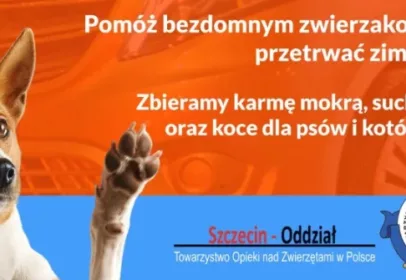 Jeździmy z sercem – wspomóż podopiecznych Towarzystwa Opieki nad Zwierzętami